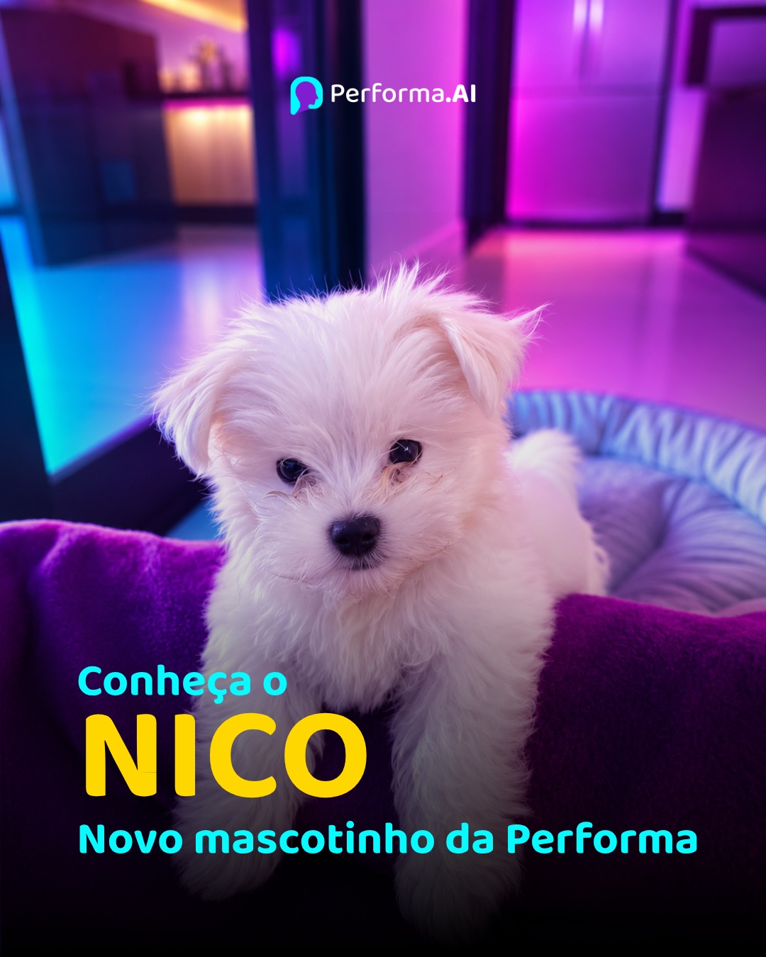 Imagem do post 🐶💜 Temos uma apresentação importante para fazer
